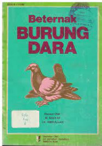 Image of Beternak Burung Dara